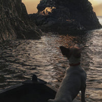 Ardbeg 10yo - Latitude Wine & Liquor Merchant