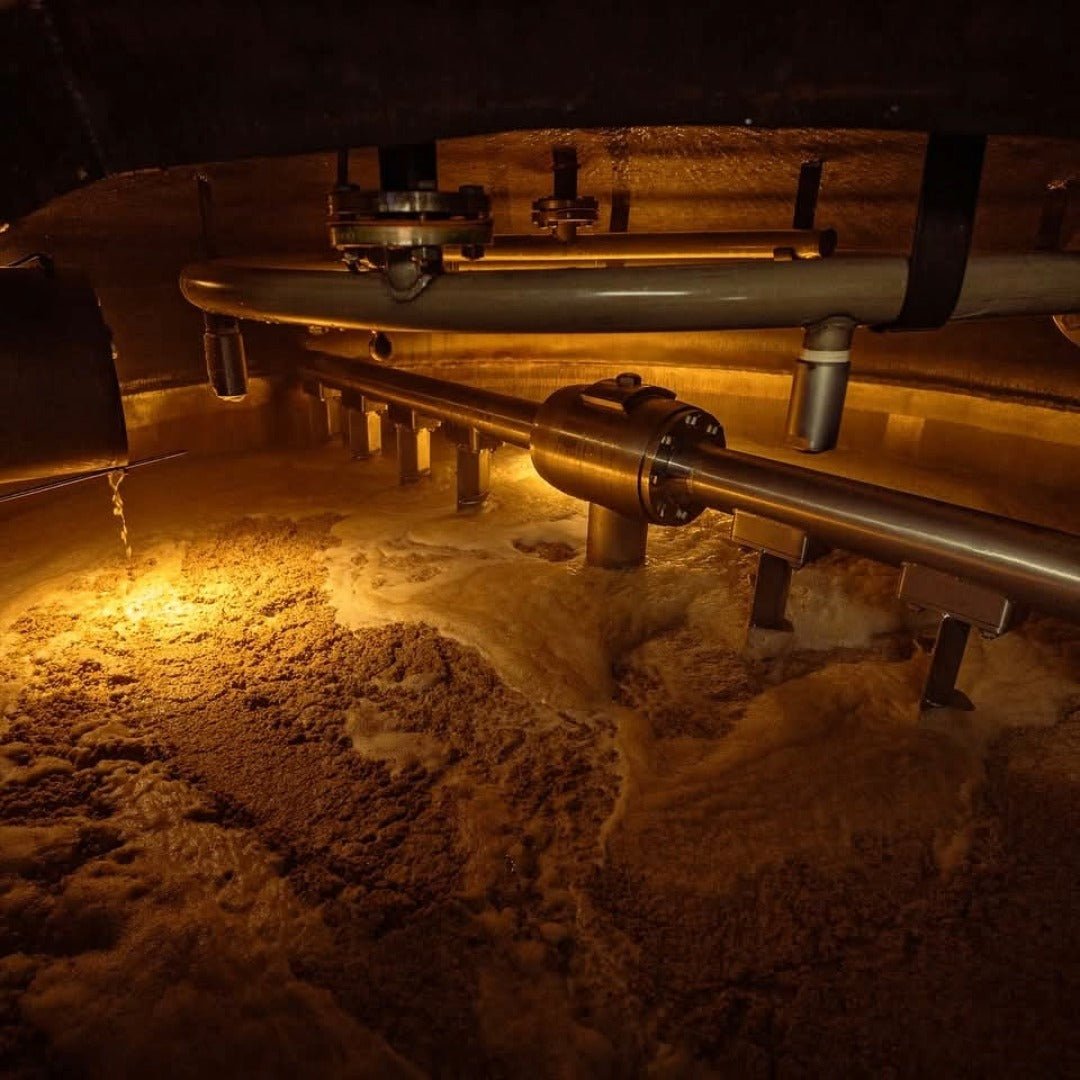 Ardnamurchan 10yo - Latitude Wine & Liquor Merchant