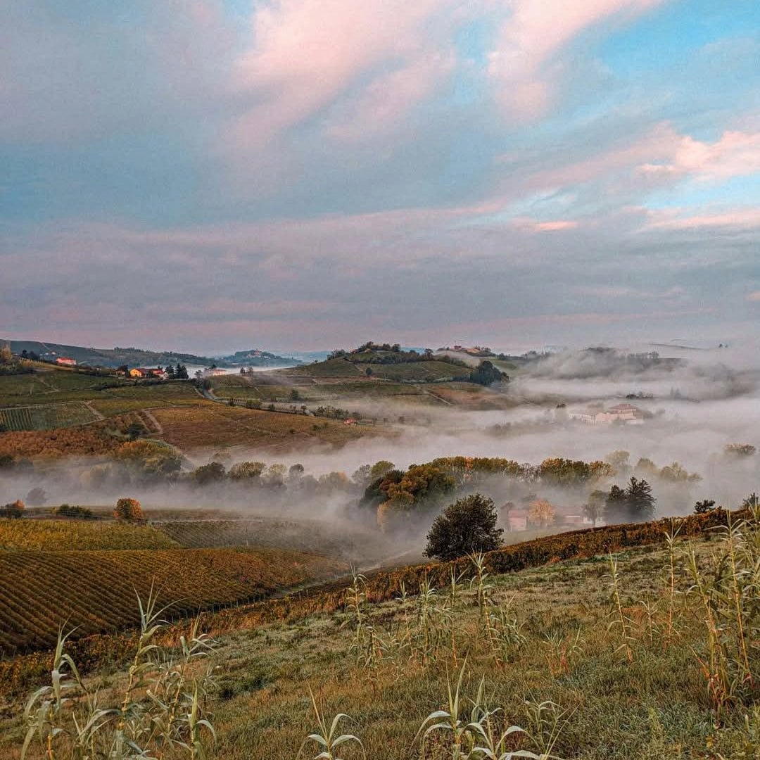 Avamposti Cerchi Slarina Monferrato DOC - Latitude Wine & Liquor Merchant