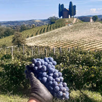 Avamposti Cerchi Slarina Monferrato DOC - Latitude Wine & Liquor Merchant