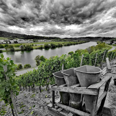 Axel Pauly Lieserer Niederberg - Helden Riesling Kabinett - Latitude Wine & Liquor Merchant