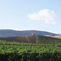 Baglio Gibellina Merlot - Latitude Wine & Liquor Merchant