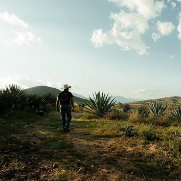Banhez Mezcal Tepeztate - Latitude Wine & Liquor Merchant