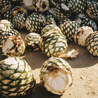 Banhez Mezcal Tepeztate - Latitude Wine & Liquor Merchant