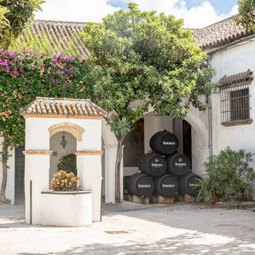 Barbadillo Pedro Ximinez La Cilla 37.5cl - Latitude Wine & Liquor Merchant