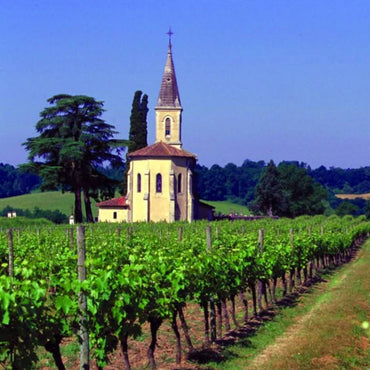 Baron de Sigognac 10yo - Latitude Wine & Liquor Merchant