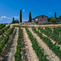 Barone Ricasoli Brolio Chianti Classico - Latitude Wine & Liquor Merchant
