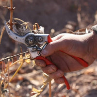 Benegas Estate Finca Libertad Single Vineyard Sangiovese - Latitude Wine & Liquor Merchant