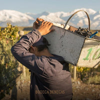 Benegas Estate Finca Libertad Single Vineyard Sangiovese - Latitude Wine & Liquor Merchant