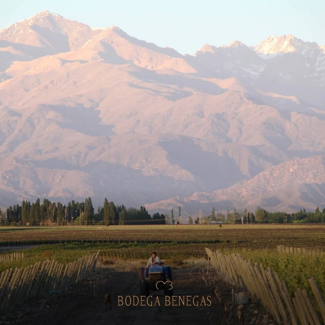 Benegas Estate Finca Libertad Single Vineyard Sangiovese - Latitude Wine & Liquor Merchant