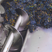 Bepi Tosolini Grappa Artigiana Ci Vidina - Latitude Wine & Liquor Merchant