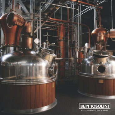 Bepi Tosolini Grappa Artigiana Ci Vidina - Latitude Wine & Liquor Merchant