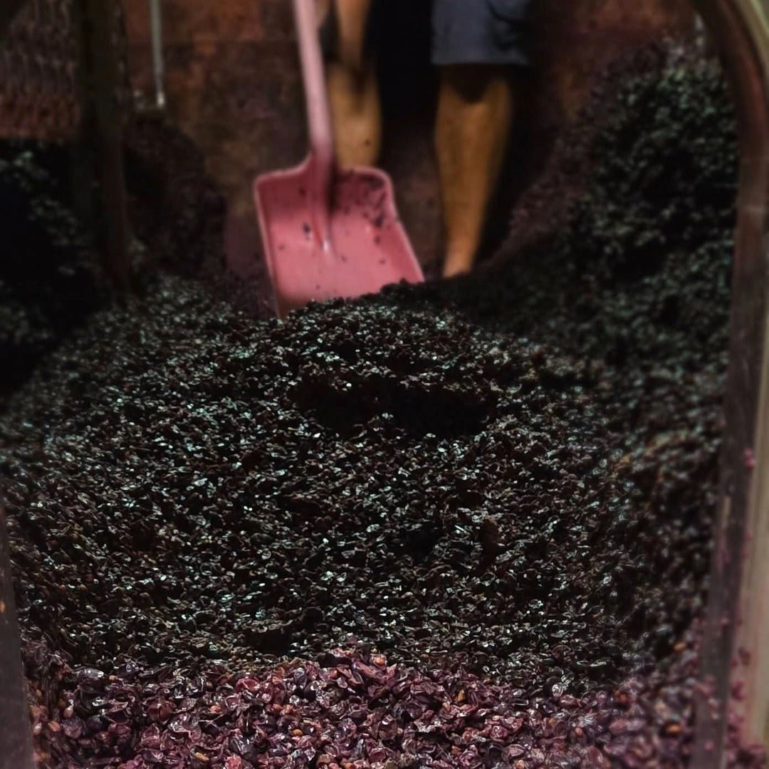 Bertrand Ambroise Nuits St Georges - Latitude Wine & Liquor Merchant