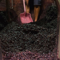 Bertrand Ambroise Nuits St Georges - Latitude Wine & Liquor Merchant