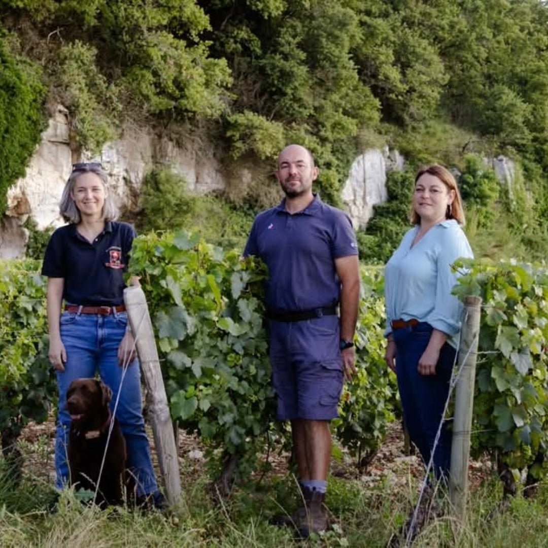 Bertrand Ambroise Nuits St Georges - Latitude Wine & Liquor Merchant