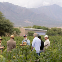 Bodega Colome Torrontes - Latitude Wine & Liquor Merchant