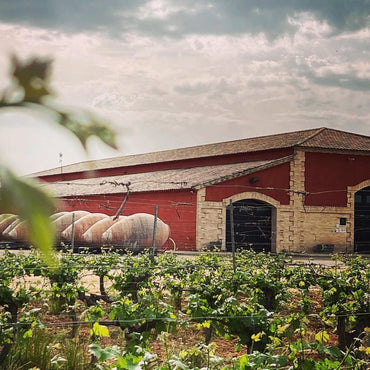 Bodegas Altolandon Dona Leo Muscat - Latitude Wine & Liquor Merchant