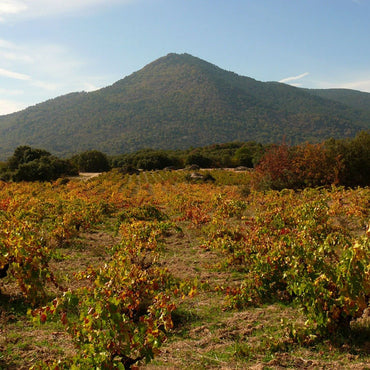 Bodegas Bernabeleva Camino De Navaherreros - Latitude Wine & Liquor Merchant