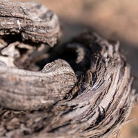 Bodegas Emilio Moro El Zarzal DO Bierzo - Latitude Wine & Liquor Merchant