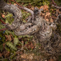 Bodegas Emilio Moro El Zarzal DO Bierzo - Latitude Wine & Liquor Merchant