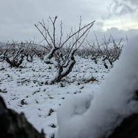 Bodegas Tobia Rioja Crianza - Latitude Wine & Liquor Merchant