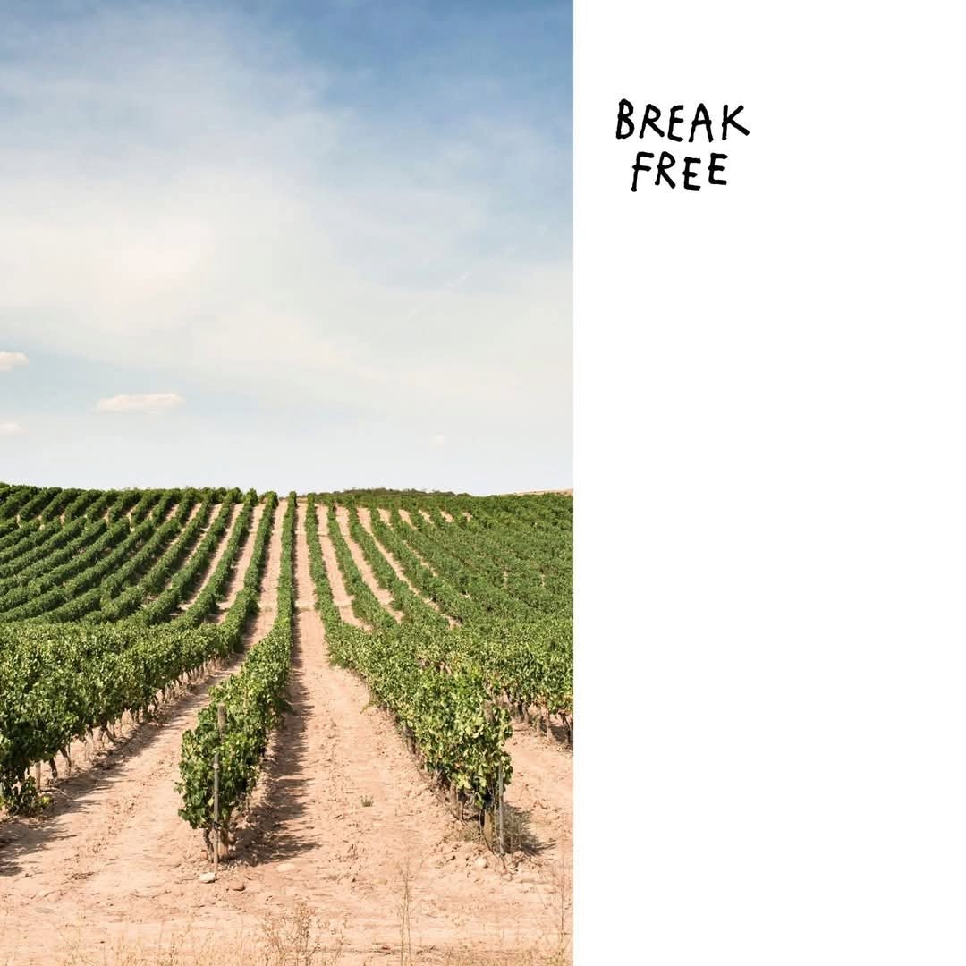 Break Free Nouveau Cabernet Franc - Latitude Wine & Liquor Merchant