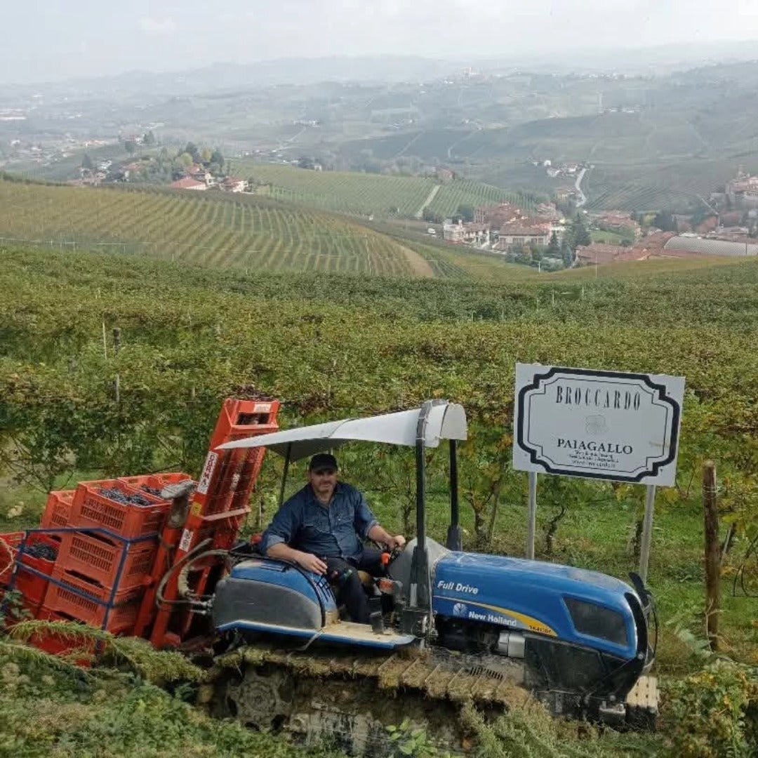 Broccardo I Tre Pais Barolo - Latitude Wine & Liquor Merchant