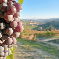 Broccardo I Tre Pais Barolo - Latitude Wine & Liquor Merchant