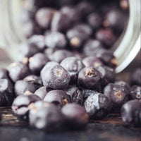 Brokers Gin - Latitude Wine & Liquor Merchant