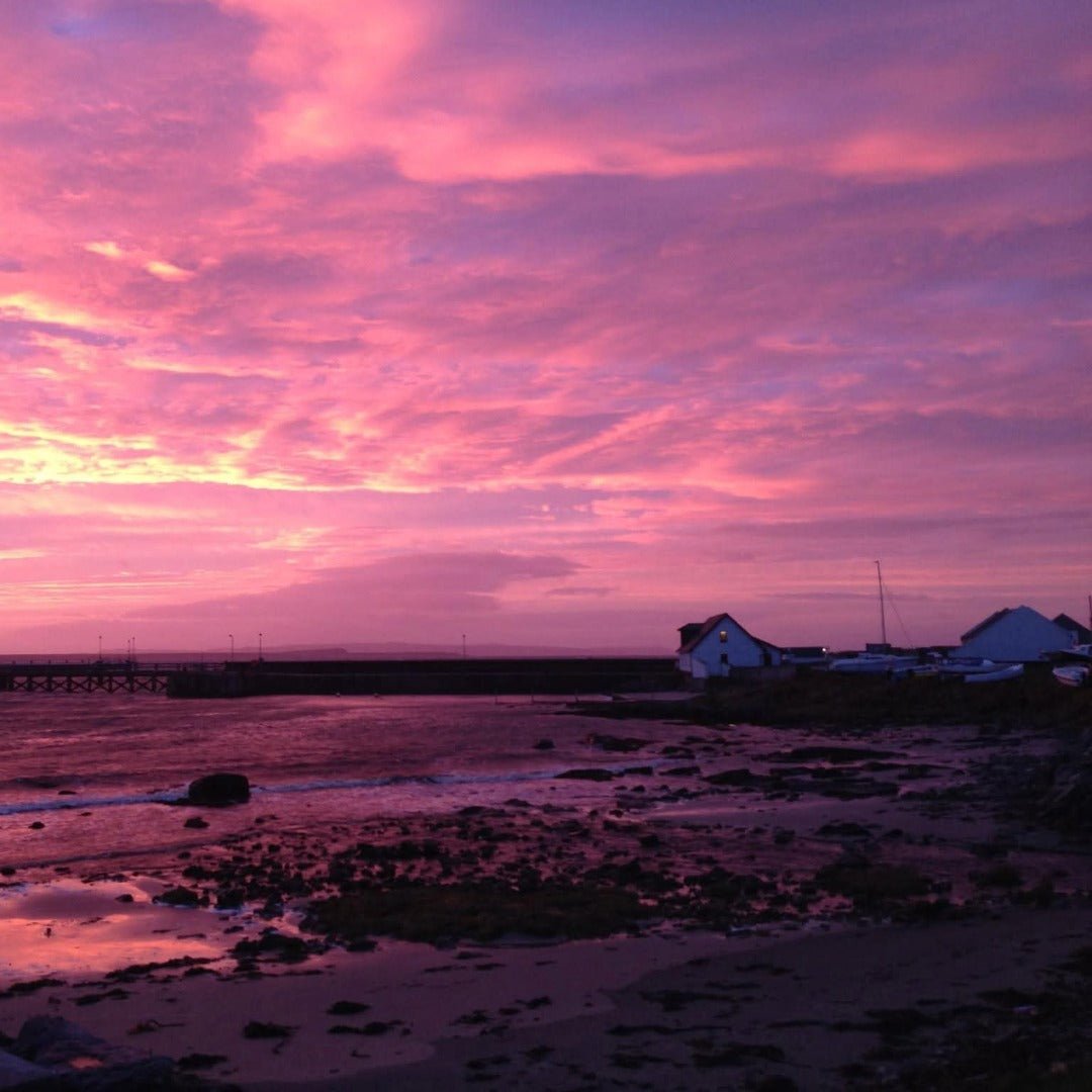 Bruichladdich Octomore 16.2 - Latitude Wine & Liquor Merchant