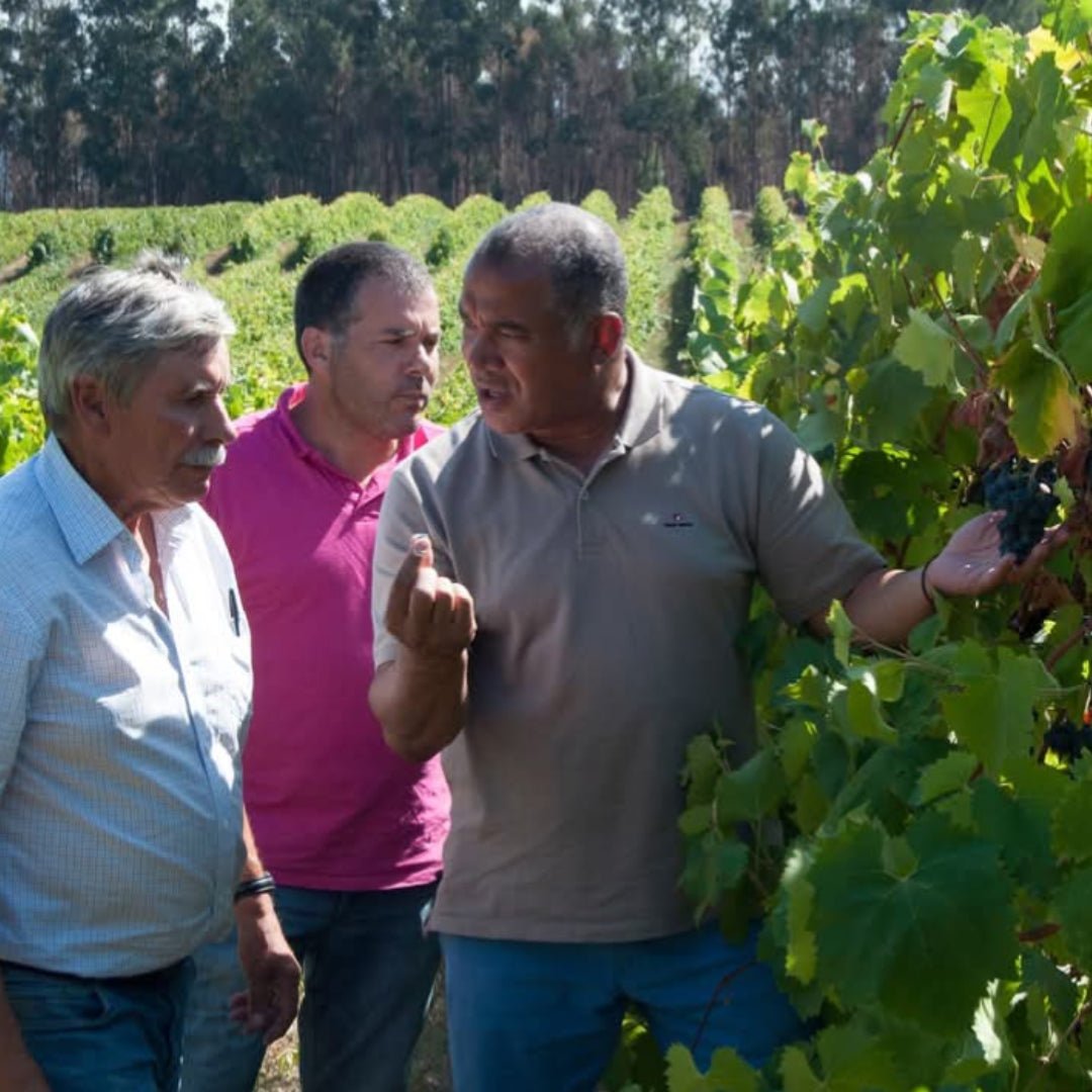 Cabriz Metodo Classico Bruto - Latitude Wine & Liquor Merchant