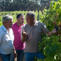 Cabriz Metodo Classico Bruto - Latitude Wine & Liquor Merchant