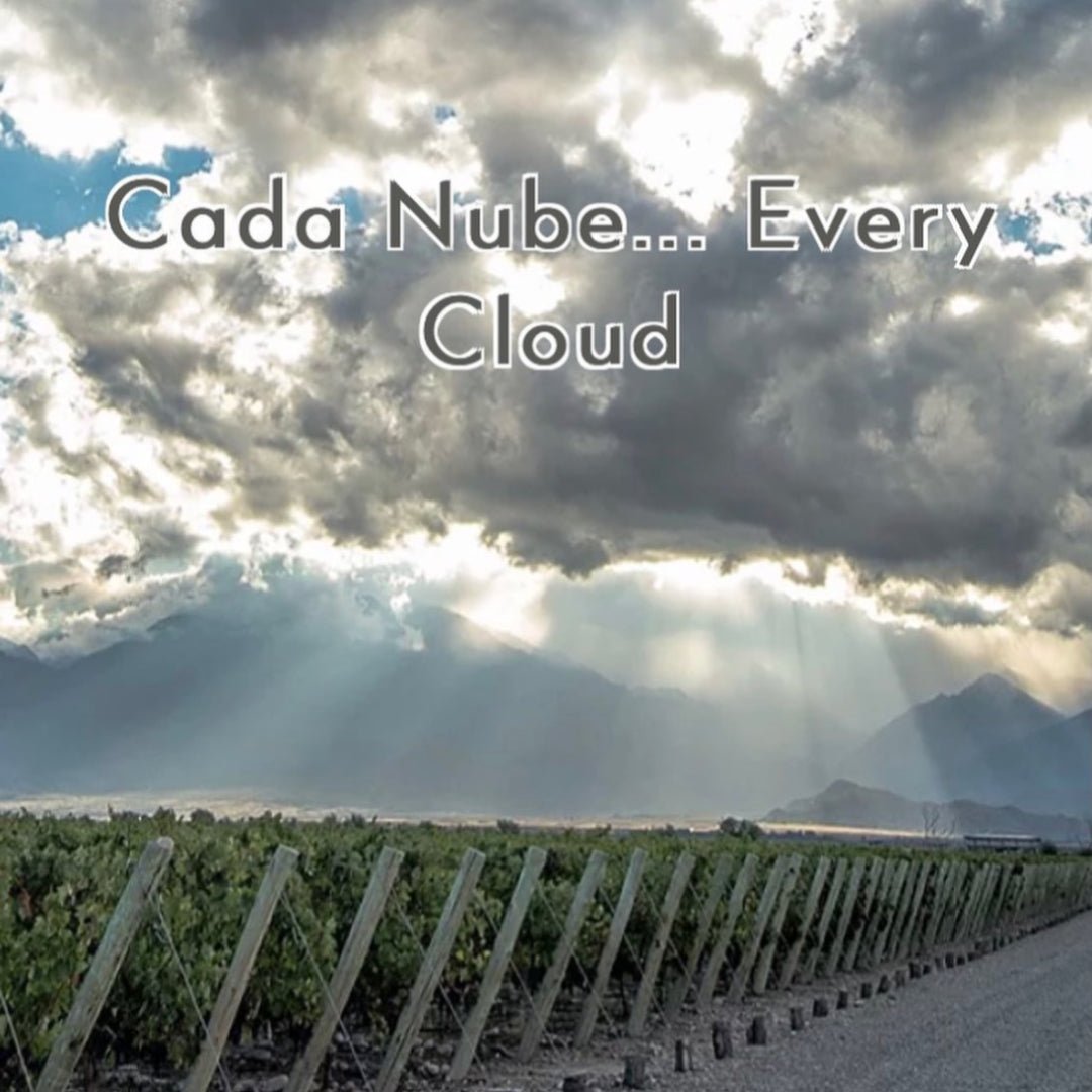 Cada Nube Cabernet Franc - Latitude Wine & Liquor Merchant