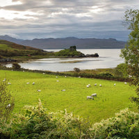 Caisteal Chamuis 12yo Island Blended Malt - Latitude Wine & Liquor Merchant