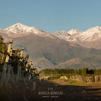 Carmela Benegas Cabernet Franc Rose - Latitude Wine & Liquor Merchant