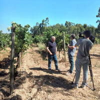 Casa Cello Quinta da Vegia Solo Franco Dao - Latitude Wine & Liquor Merchant
