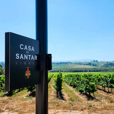 Casa De Santar Vinha Dos Amores Encruzado - Latitude Wine & Liquor Merchant