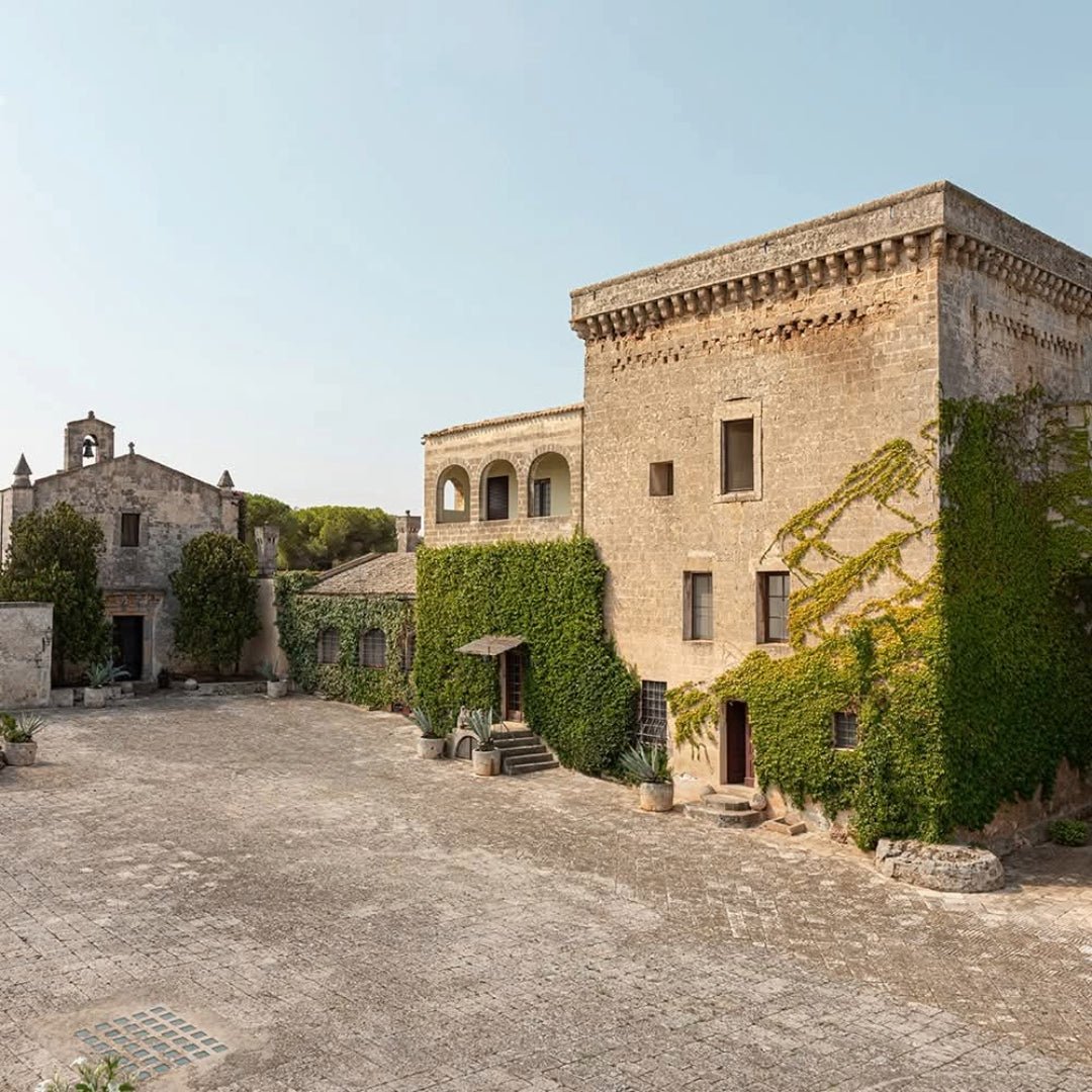 Castel Serranova Fiano Salento - Latitude Wine & Liquor Merchant