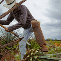 Cazcabel Tequila Anejo - Latitude Wine & Liquor Merchant