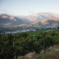 Chamonix Greywacke Pinotage - Latitude Wine & Liquor Merchant