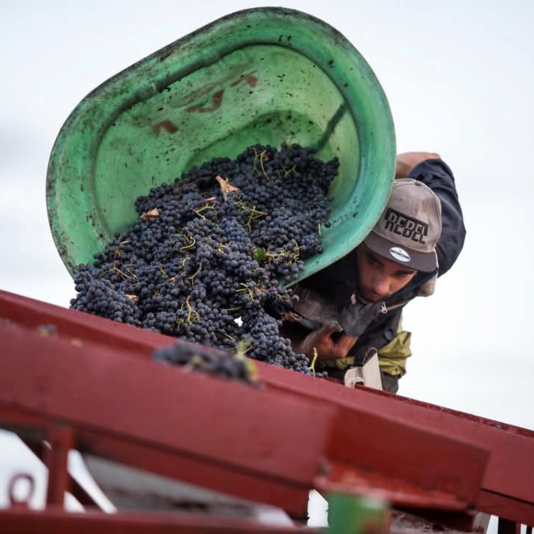 Chateau Batailley Pauillac - Latitude Wine & Liquor Merchant