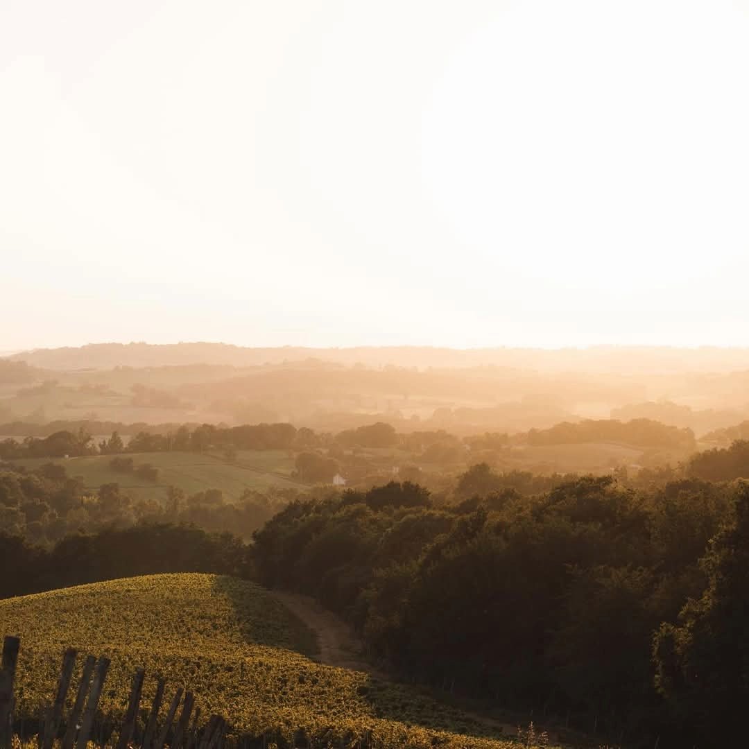 Chateau Bouscasse Vieilles Vignes Madiran - Latitude Wine & Liquor Merchant