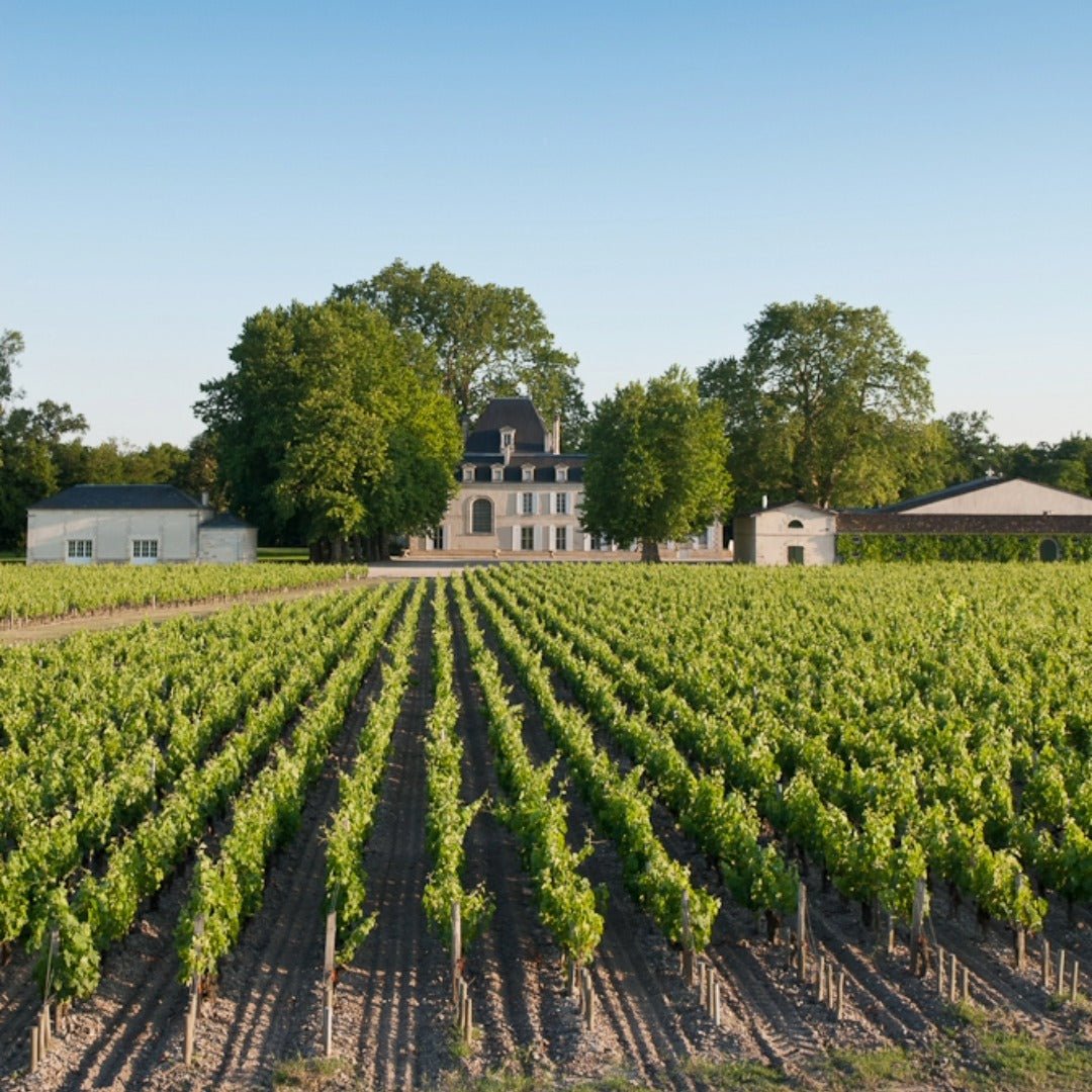 Chateau Cantemerle Haut - Medoc - Latitude Wine & Liquor Merchant