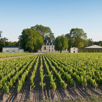 Chateau Cantemerle Haut - Medoc - Latitude Wine & Liquor Merchant