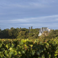 Chateau de Pitray Les Prairies Castillon Cotes de Bordeaux - Latitude Wine & Liquor Merchant