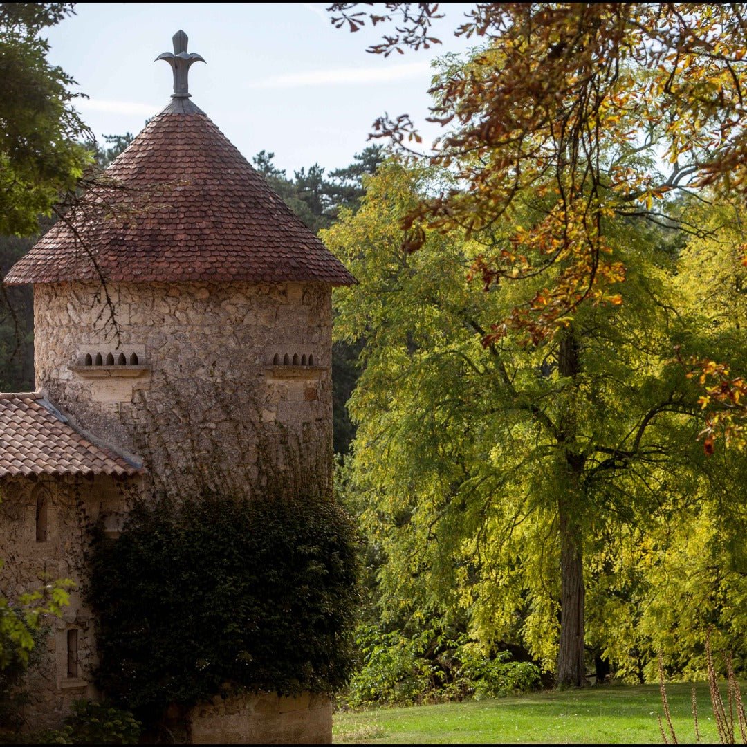 Chateau de Pitray Les Prairies Castillon Cotes de Bordeaux - Latitude Wine & Liquor Merchant