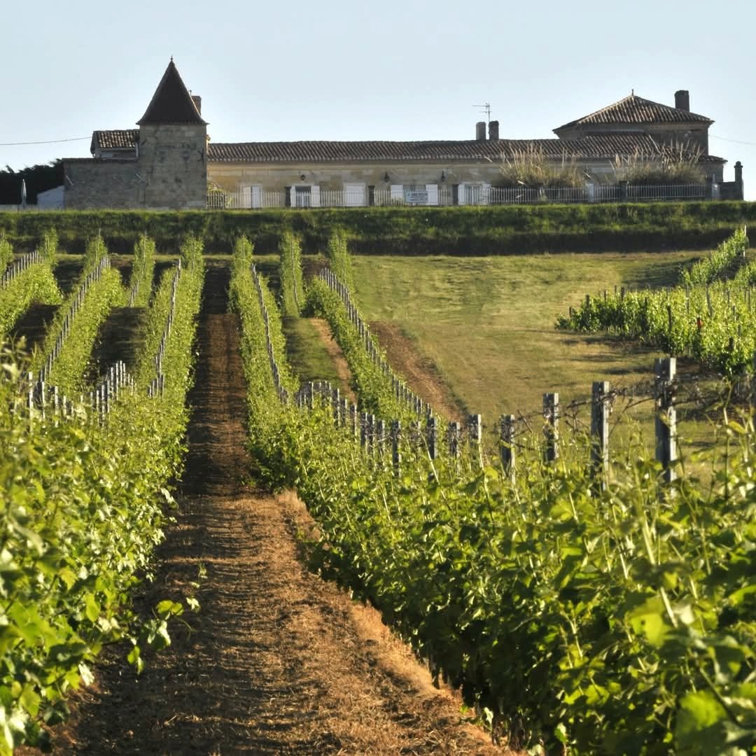 Chateau Des Demoiselles Castillon Cotes De Bordeaux - Latitude Wine & Liquor Merchant