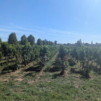 Chateau La Rose Trimoulet Saint-Emilion Grand Cru - Latitude Wine & Liquor Merchant