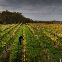 Chateau Penin Bourdeaux Superieur Tradition - Latitude Wine & Liquor Merchant