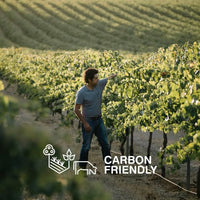 Cherubino Uovo Frankland River Riesling - Latitude Wine & Liquor Merchant